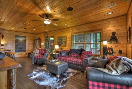 Home Exchange in Mineral Bluff, GA, bonus living space