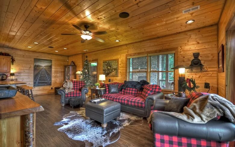 Home Exchange in Mineral Bluff, GA, bonus living space