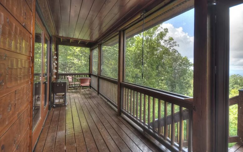 Home Exchange in Mineral Bluff, GA, screened in balcony