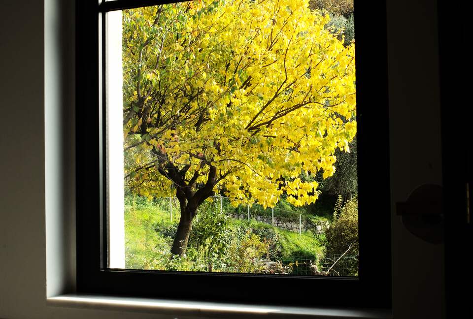 Casa Juno (Lake Como) - Nesso, Lake Como, Italy