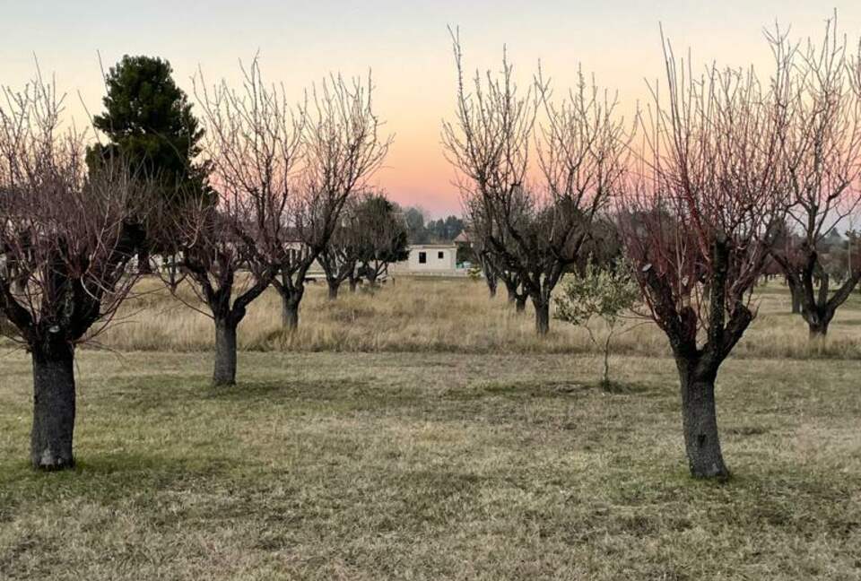 18th Century Provence farmhouse - Eygalières, France