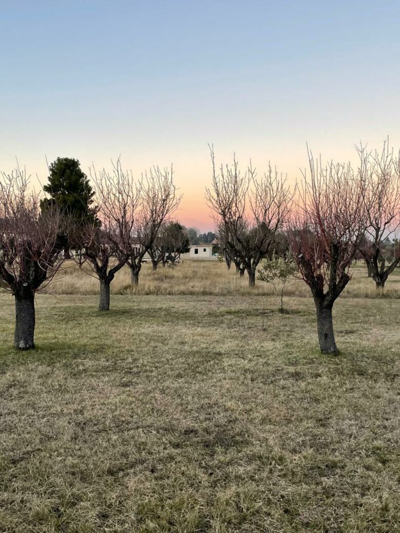 18th Century Provence farmhouse - Eygalières, France