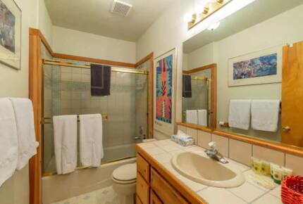 Home Exchange in Truckee, CA, guest bathroom #3