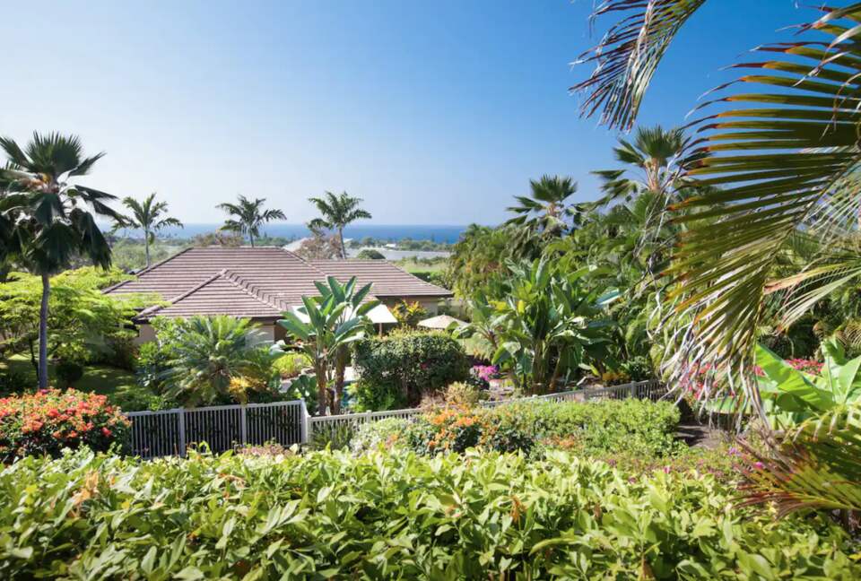 Hawaiian paradise view of backyard