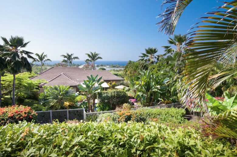 Hawaiian paradise view of backyard