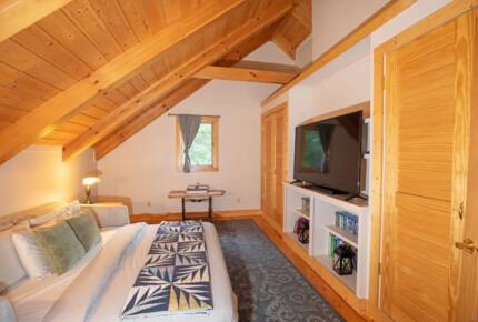 Home Exchange in Fairway, NC, king sized pull out bed with tv