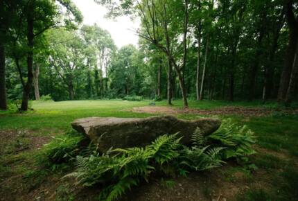 Home Exchange in Fairview, NC, meditation rock for deep breathing