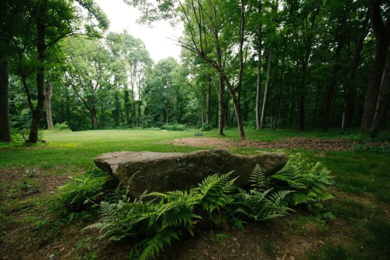 Home Exchange in Fairview, NC, meditation rock for deep breathing