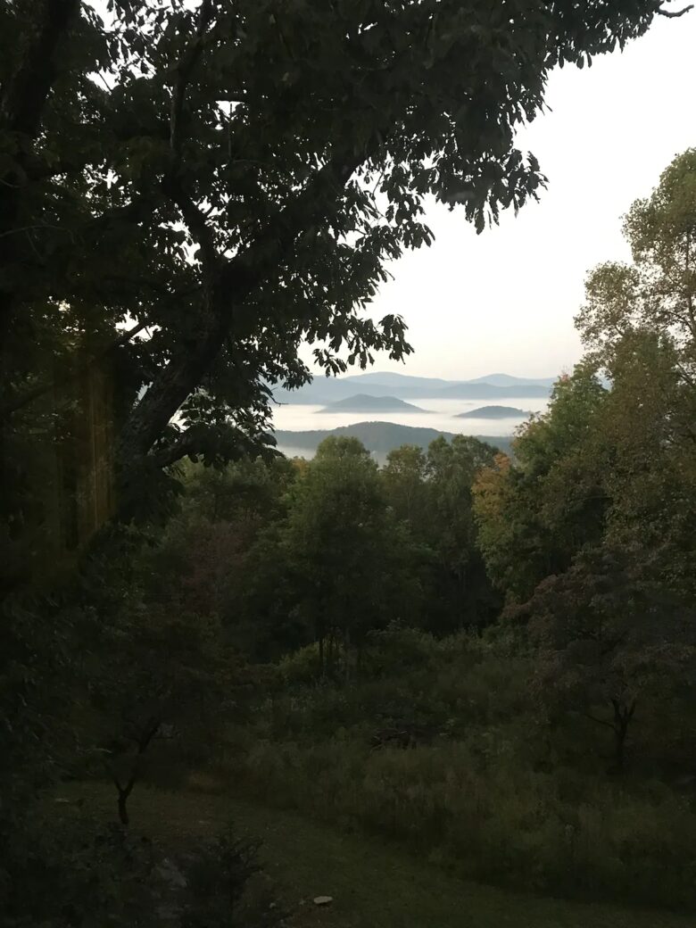 Home Exchange in Fairview, NC, view through the trees of mountains