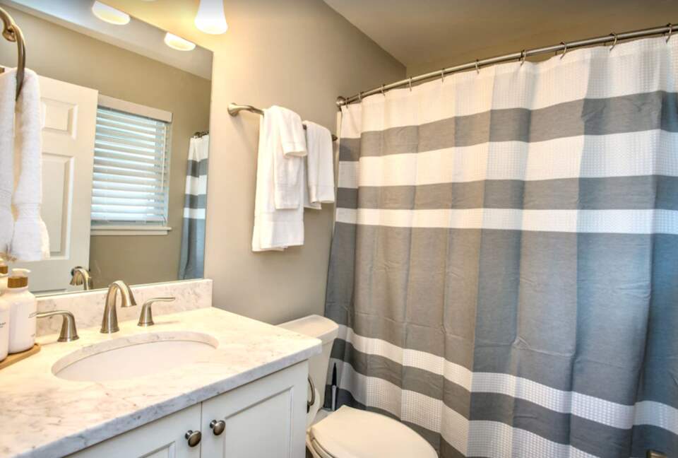 Guest bathroom
