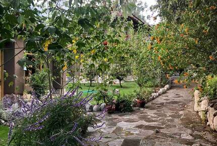 Home Exchange in Urubamba, Cusco, Peru, garden with stone path