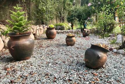 Home Exchange in Urubamba, Cusco, Peru, adorable plants