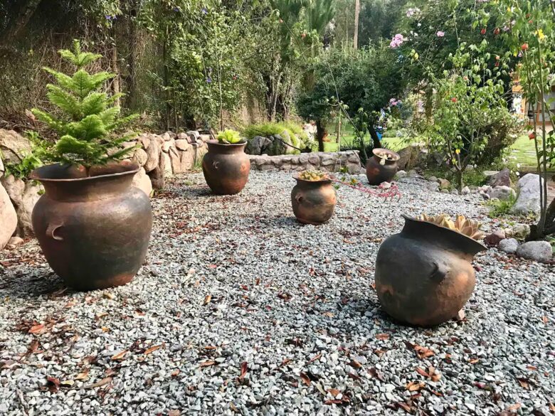Home Exchange in Urubamba, Cusco, Peru, adorable plants