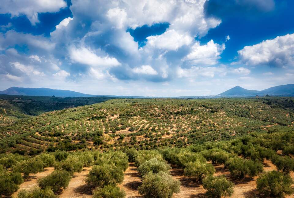 Koa Spa Villa - Pylos, Greece