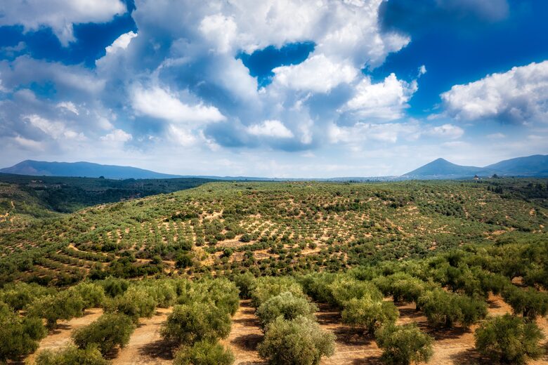 Koa Spa Villa - Pylos, Greece