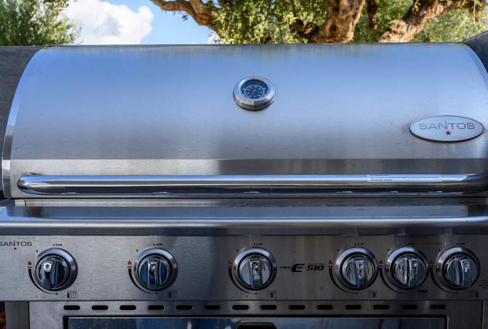 Koa Spa Villa - Pylos, Greece