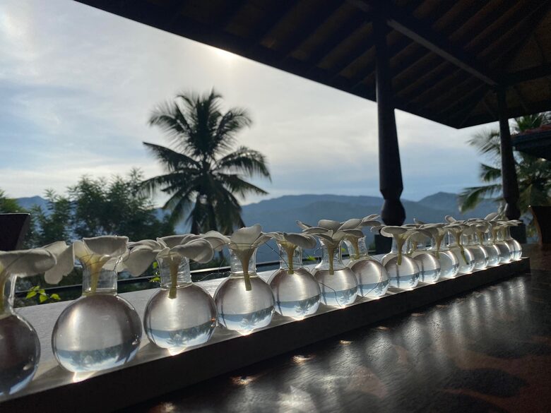 Villa Athmaya - Rajawella, Sri Lanka