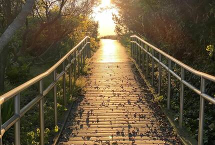 Home Exchange in Virginia Beach, VA make your way to the beach