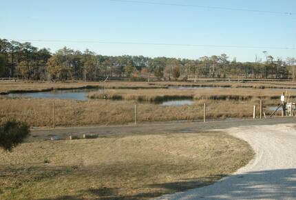 Home Exchange in Chincoteague, VA estuary across the street with pony