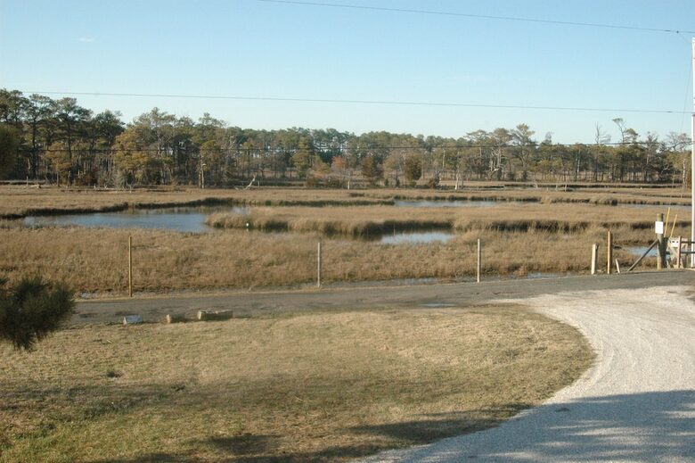 Home Exchange in Chincoteague, VA estuary across the street with pony