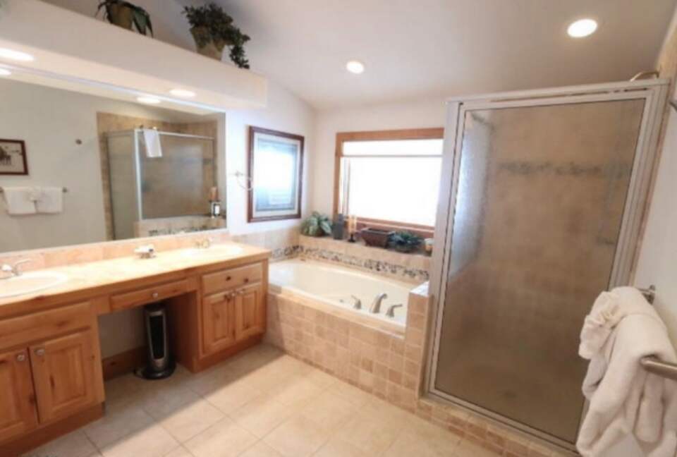 Master bathroom