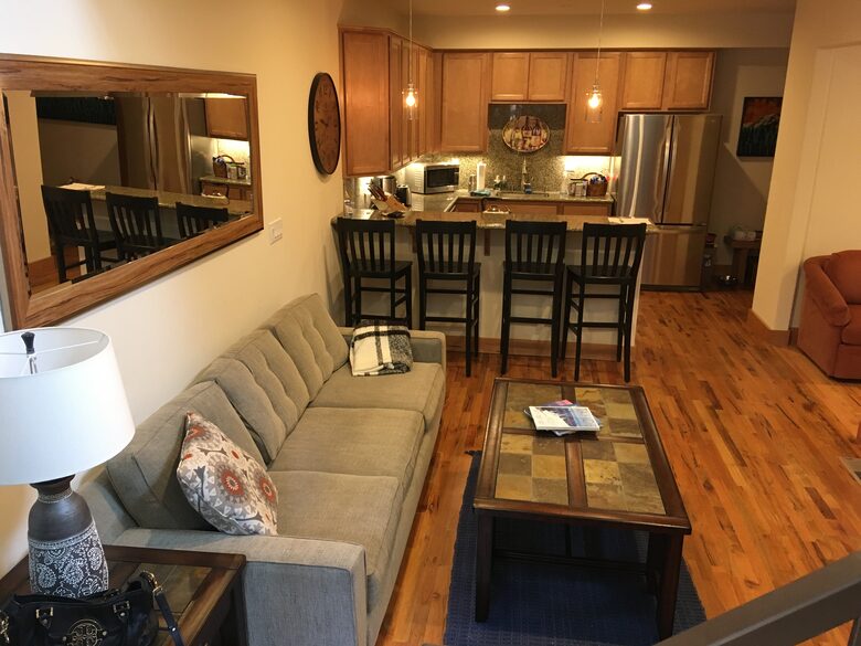 Lower floor family room and kitchen.
