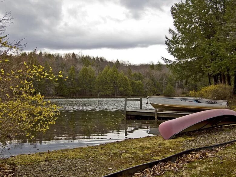 Home Exchange in Muncy Valley, PA, canoe, fish, and more!