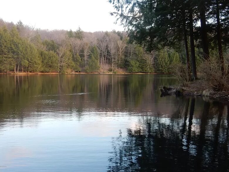 Home Exchange in Muncy Valley, PA, lake views