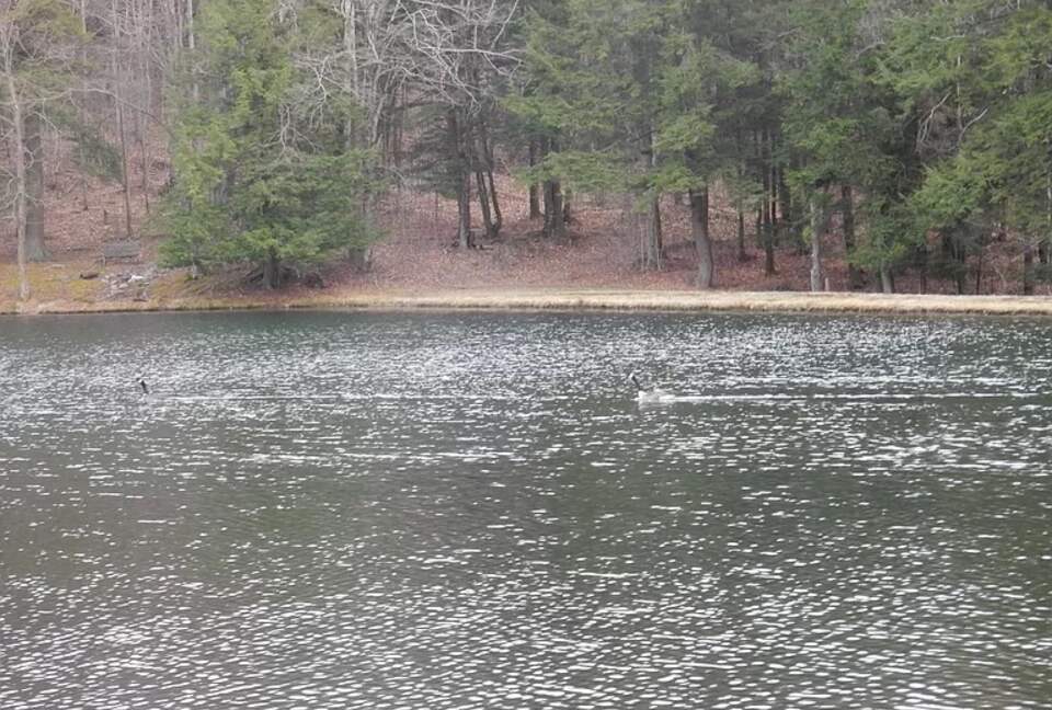 Home Exchange in Muncy Valley, PA, lake views!