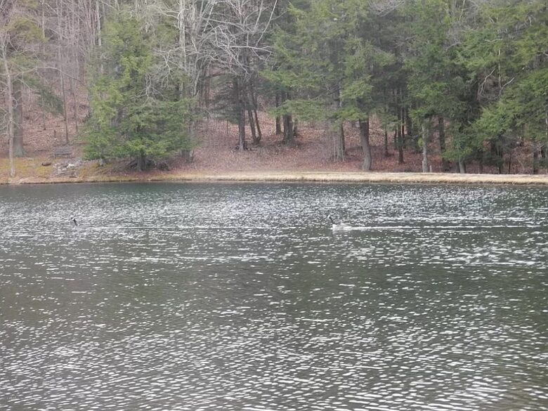 Home Exchange in Muncy Valley, PA, lake views!