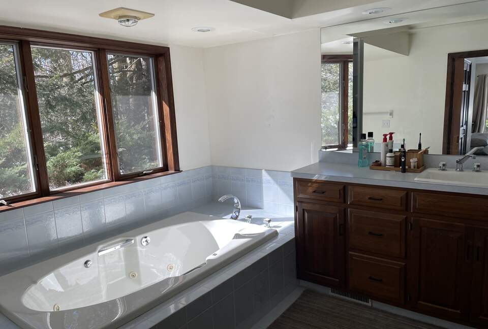 Home Exchange in Muncy Valley, PA, master ensuite with soaker tub