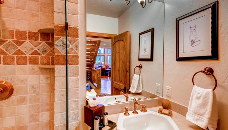 Guest bathroom