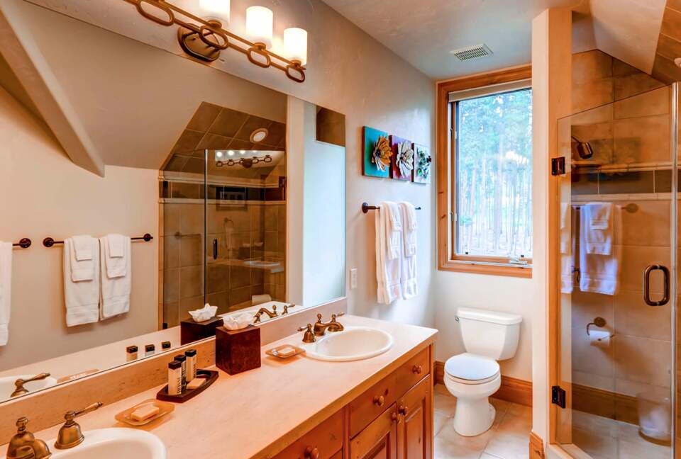 Guest bathroom
