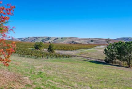 Home Exchange in San Miguel, CA 162 acre property