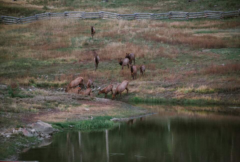 Mountain Home Ranch - Bordering National Forest - Durango, Colorado