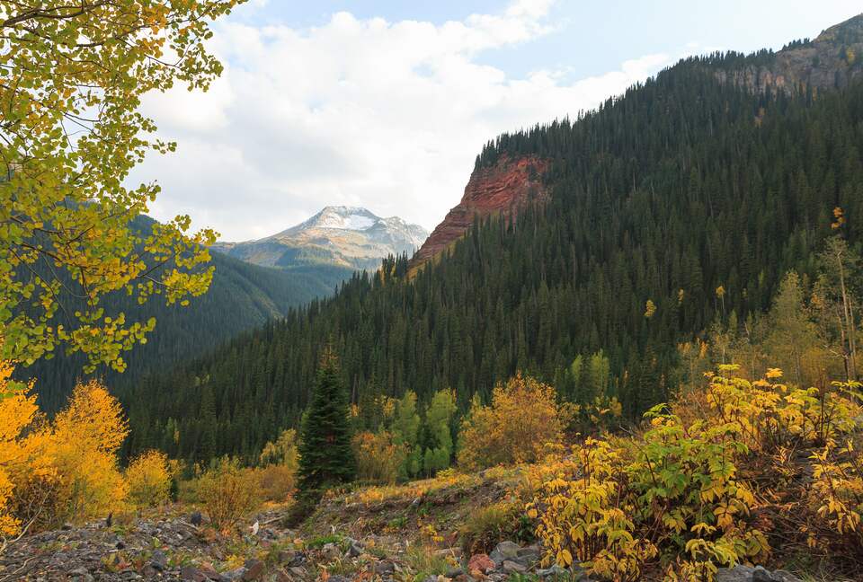 Mountain Home Ranch - Bordering National Forest - Durango, Colorado