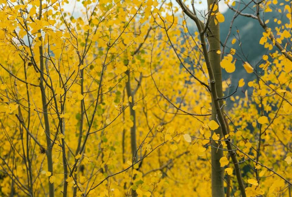 Mountain Home Ranch - Bordering National Forest - Durango, Colorado