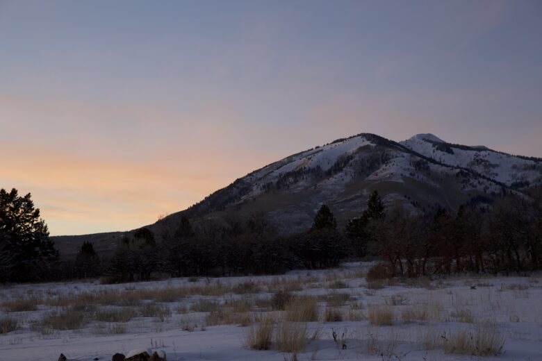 Mountain Home Ranch - Bordering National Forest - Durango, Colorado