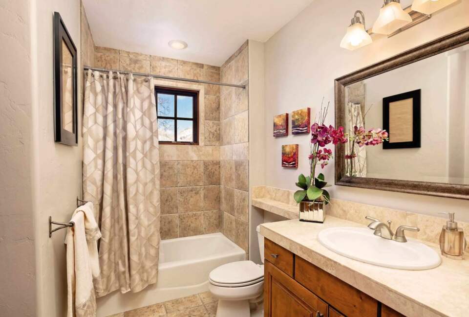 Guest bathroom