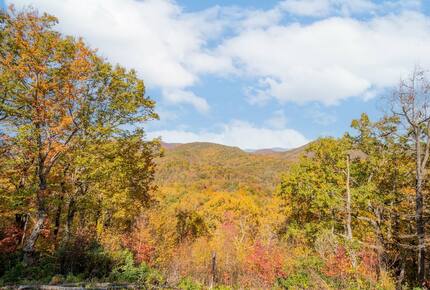 Home exchange in Fairview NC, fall foliage