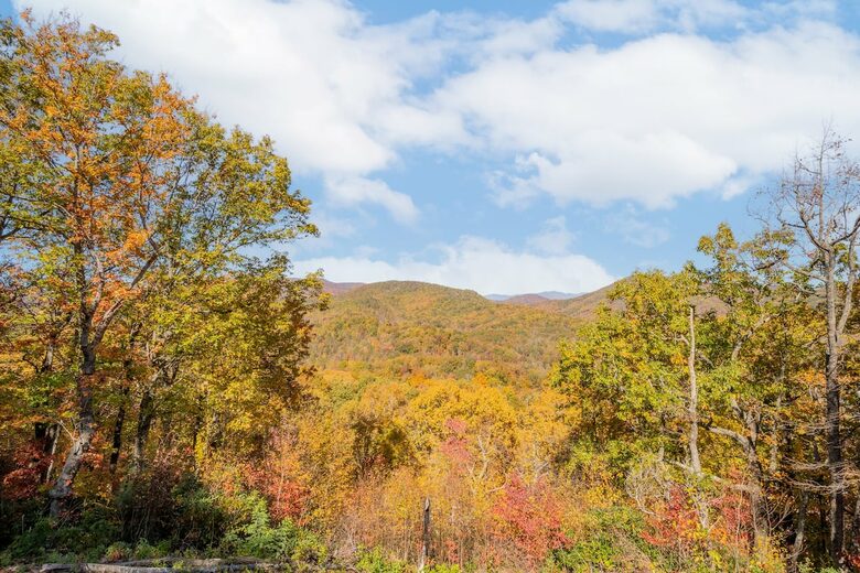 Home exchange in Fairview NC, fall foliage