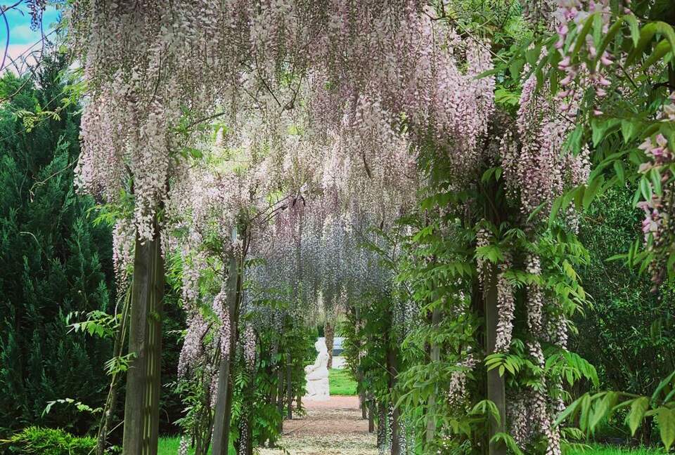 Château De Vézins (R) - Cholet, France