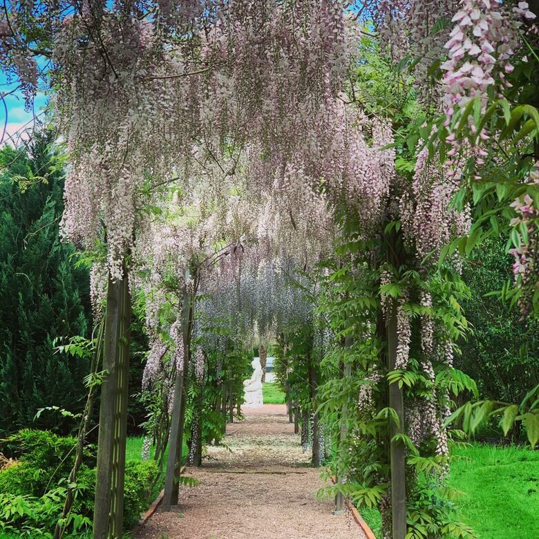 Château De Vézins (R) - Cholet, France