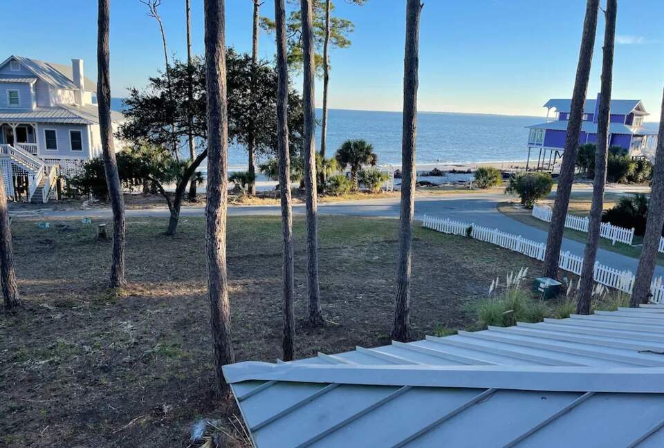 Seaside Flamingo - Daufuskie Island, South Carolina