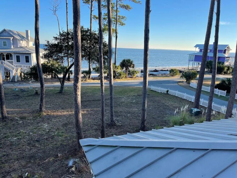Seaside Flamingo - Daufuskie Island, South Carolina
