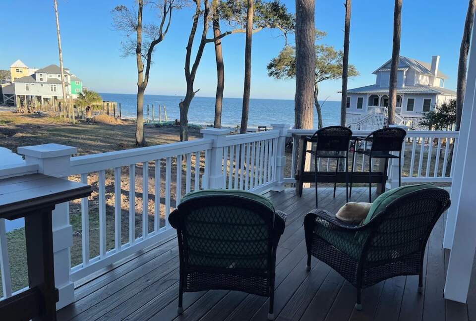 Seaside Flamingo - Daufuskie Island, South Carolina