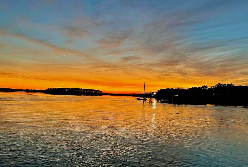 Seaside Flamingo - Daufuskie Island, South Carolina