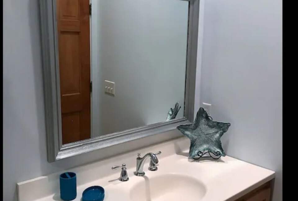 Seaside Flamingo - Daufuskie Island, South Carolina