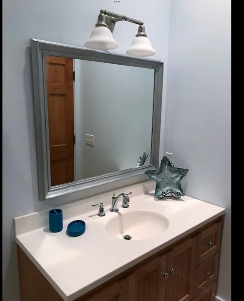 Seaside Flamingo - Daufuskie Island, South Carolina