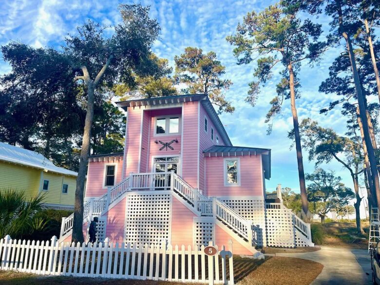 Seaside Flamingo - Daufuskie Island, South Carolina